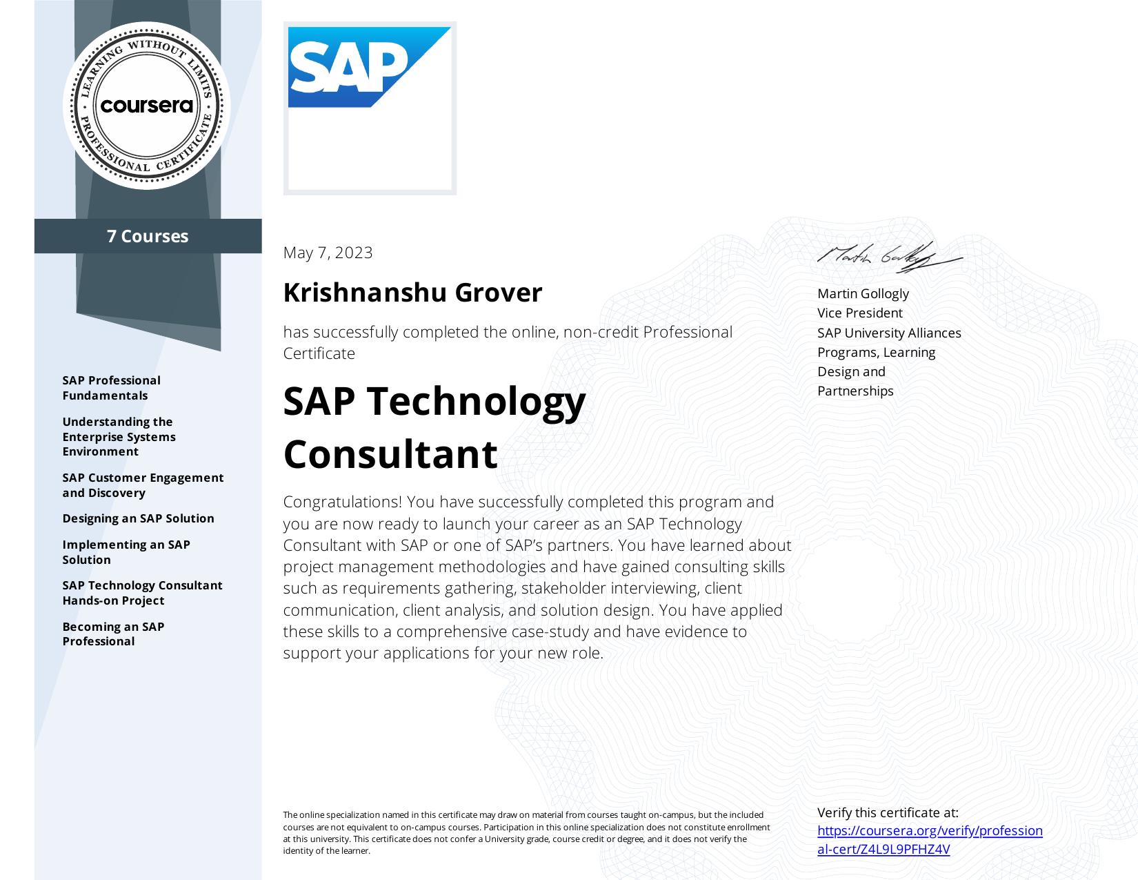 SAP Technology Consultant
